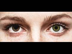 Green contact lenses - natural effect - power - Air Optix (2 monthly coloured lenses)