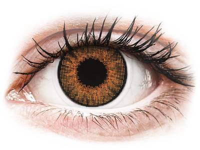 Brown Honey contact lenses - natural effect - Air Optix (2 monthly coloured
lenses)