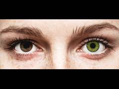 Fresh Green contact lenses - power - TopVue Color (10 daily coloured lenses)