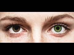 Green Yellow Fusion contact lenses - ColourVue (2 coloured lenses)