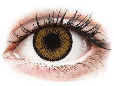 Brown India contact lenses - SofLens Natural Colors (2 monthly coloured
lenses)