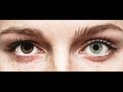 Green contact lenses - FreshLook Colors - Power (2 monthly coloured lenses)