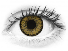 Dark Hazel contact lenses - SofLens Natural Colors (2 monthly coloured lenses)