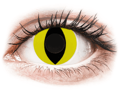 CRAZY LENS - Cat Eye Yellow - plano (2 daily coloured lenses)