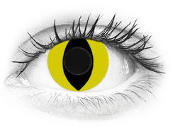 CRAZY LENS - Cat Eye Yellow - plano (2 daily coloured lenses)