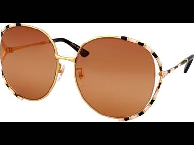 Gucci GG0595S 007