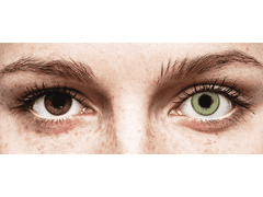 TopVue Daily Color - Green - power (2 daily coloured lenses)