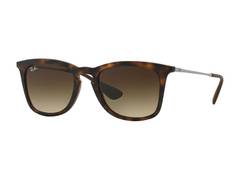 Ray-Ban RB4221 865/13 